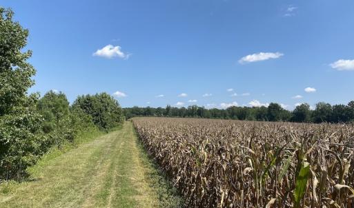Photo #37 of SOLD property in Off White Oak Drive, Spring Grove, VA 102.0 acres