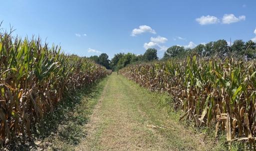 Photo #38 of SOLD property in Off White Oak Drive, Spring Grove, VA 102.0 acres