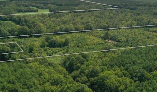 Photo #22 of SOLD property in 12171 Old Belfield Road, Capron, VA 140.0 acres