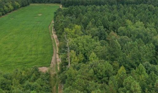Photo #26 of SOLD property in 12171 Old Belfield Road, Capron, VA 140.0 acres