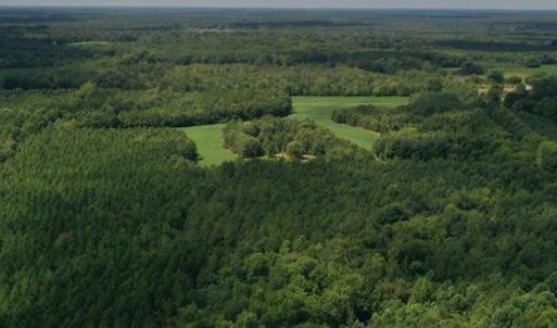 Photo #27 of SOLD property in 12171 Old Belfield Road, Capron, VA 140.0 acres