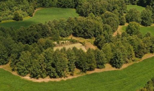 Photo #28 of SOLD property in 12171 Old Belfield Road, Capron, VA 140.0 acres