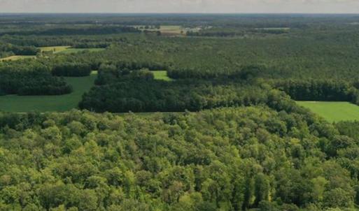 Photo #29 of SOLD property in 12171 Old Belfield Road, Capron, VA 140.0 acres