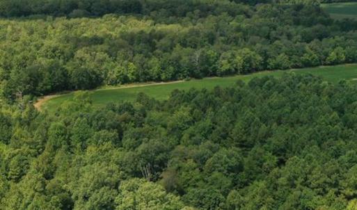 Photo #30 of SOLD property in 12171 Old Belfield Road, Capron, VA 140.0 acres