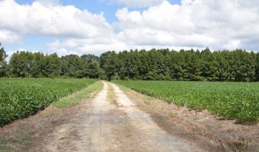 Photo #32 of SOLD property in 12171 Old Belfield Road, Capron, VA 140.0 acres