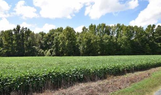 Photo #34 of SOLD property in 12171 Old Belfield Road, Capron, VA 140.0 acres