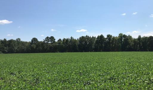 Photo #35 of SOLD property in 12171 Old Belfield Road, Capron, VA 140.0 acres