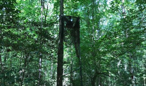 Photo #36 of SOLD property in 12171 Old Belfield Road, Capron, VA 140.0 acres