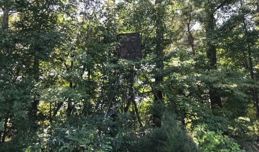 Photo #38 of SOLD property in 12171 Old Belfield Road, Capron, VA 140.0 acres