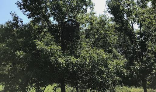 Photo #42 of SOLD property in 12171 Old Belfield Road, Capron, VA 140.0 acres