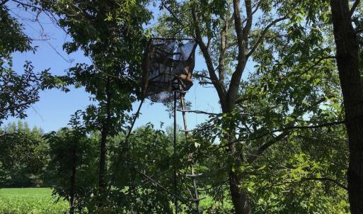 Photo #43 of SOLD property in 12171 Old Belfield Road, Capron, VA 140.0 acres