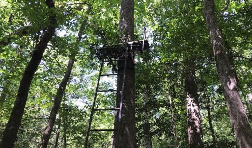 Photo #44 of SOLD property in 12171 Old Belfield Road, Capron, VA 140.0 acres