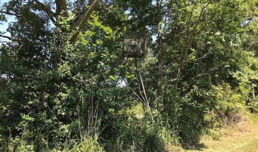 Photo #45 of SOLD property in 12171 Old Belfield Road, Capron, VA 140.0 acres