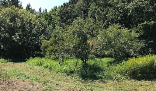 Photo #46 of SOLD property in 12171 Old Belfield Road, Capron, VA 140.0 acres
