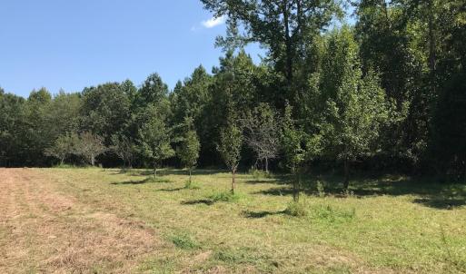 Photo #48 of SOLD property in 12171 Old Belfield Road, Capron, VA 140.0 acres