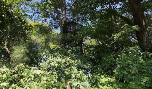 Photo #49 of SOLD property in 12171 Old Belfield Road, Capron, VA 140.0 acres