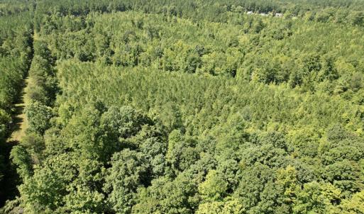 Photo #10 of SOLD property in 4118 Burkeville Road, Victoria, VA 227.8 acres