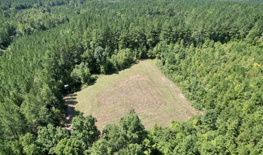 Photo #11 of SOLD property in 4118 Burkeville Road, Victoria, VA 227.8 acres