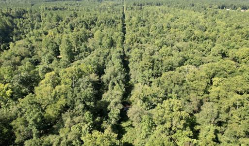 Photo #12 of SOLD property in 4118 Burkeville Road, Victoria, VA 227.8 acres