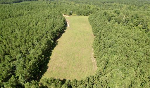 Photo #13 of SOLD property in 4118 Burkeville Road, Victoria, VA 227.8 acres
