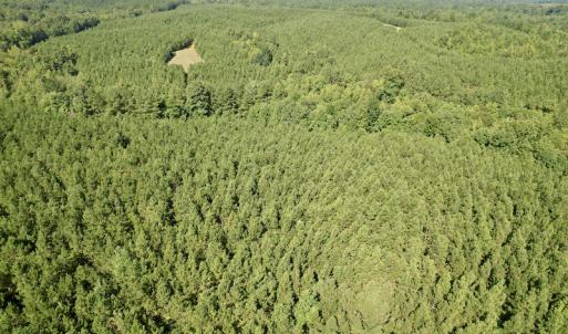Photo #14 of SOLD property in 4118 Burkeville Road, Victoria, VA 227.8 acres