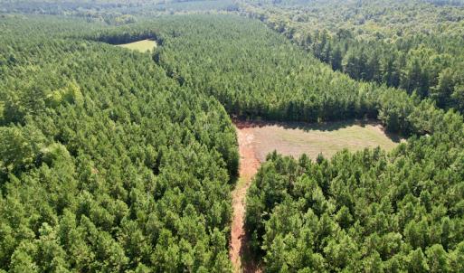 Photo #16 of SOLD property in 4118 Burkeville Road, Victoria, VA 227.8 acres
