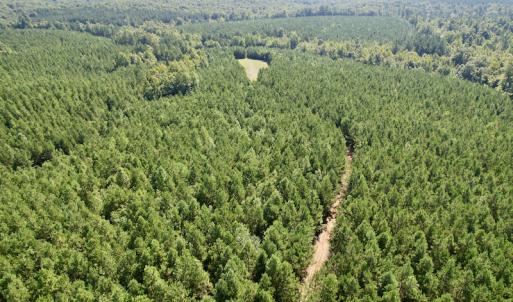 Photo #17 of SOLD property in 4118 Burkeville Road, Victoria, VA 227.8 acres