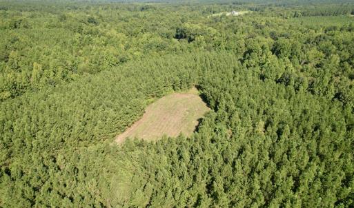 Photo #18 of SOLD property in 4118 Burkeville Road, Victoria, VA 227.8 acres