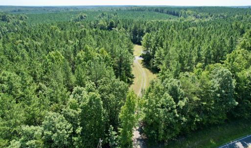Photo #2 of SOLD property in 4118 Burkeville Road, Victoria, VA 227.8 acres
