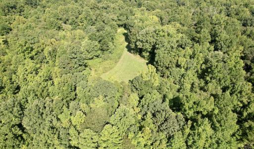 Photo #20 of SOLD property in 4118 Burkeville Road, Victoria, VA 227.8 acres