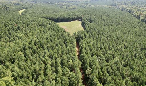Photo #21 of SOLD property in 4118 Burkeville Road, Victoria, VA 227.8 acres