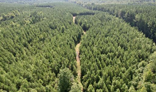 Photo #22 of SOLD property in 4118 Burkeville Road, Victoria, VA 227.8 acres