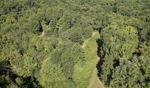 Photo #23 of SOLD property in 4118 Burkeville Road, Victoria, VA 227.8 acres