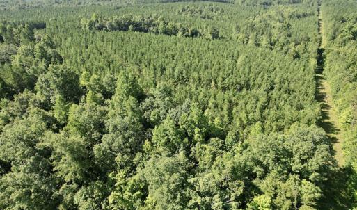 Photo #24 of SOLD property in 4118 Burkeville Road, Victoria, VA 227.8 acres