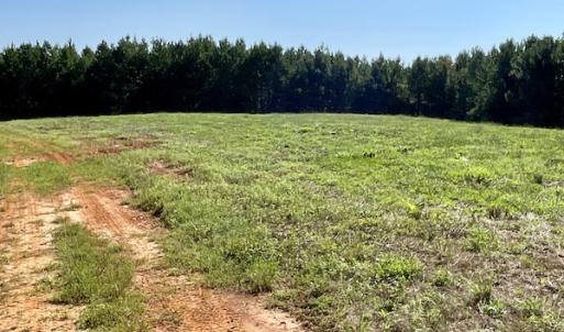 Photo #25 of SOLD property in 4118 Burkeville Road, Victoria, VA 227.8 acres