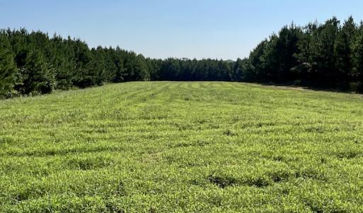 Photo #26 of SOLD property in 4118 Burkeville Road, Victoria, VA 227.8 acres