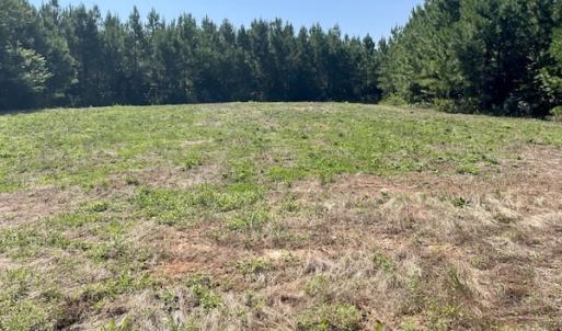 Photo #27 of SOLD property in 4118 Burkeville Road, Victoria, VA 227.8 acres