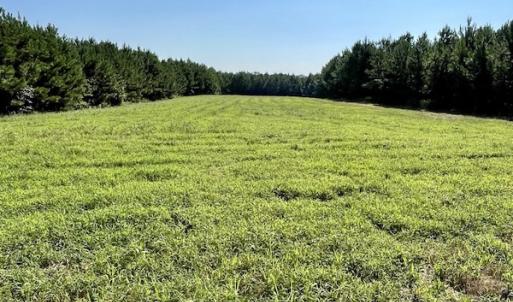 Photo #28 of SOLD property in 4118 Burkeville Road, Victoria, VA 227.8 acres