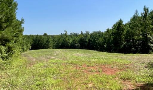 Photo #29 of SOLD property in 4118 Burkeville Road, Victoria, VA 227.8 acres