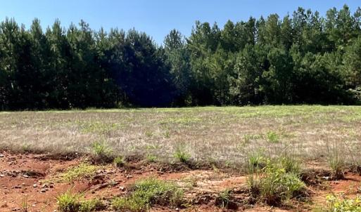 Photo #30 of SOLD property in 4118 Burkeville Road, Victoria, VA 227.8 acres