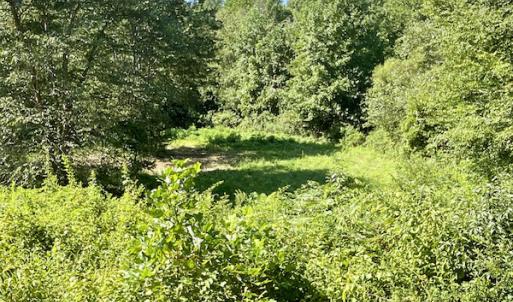 Photo #31 of SOLD property in 4118 Burkeville Road, Victoria, VA 227.8 acres