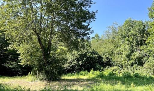 Photo #33 of SOLD property in 4118 Burkeville Road, Victoria, VA 227.8 acres