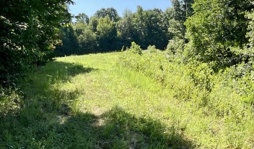 Photo #34 of SOLD property in 4118 Burkeville Road, Victoria, VA 227.8 acres
