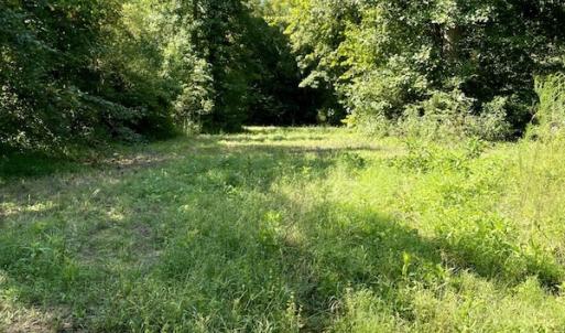 Photo #35 of SOLD property in 4118 Burkeville Road, Victoria, VA 227.8 acres