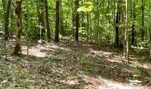Photo #38 of SOLD property in 4118 Burkeville Road, Victoria, VA 227.8 acres