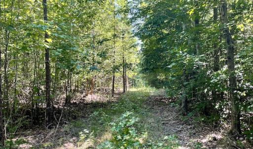 Photo #40 of SOLD property in 4118 Burkeville Road, Victoria, VA 227.8 acres