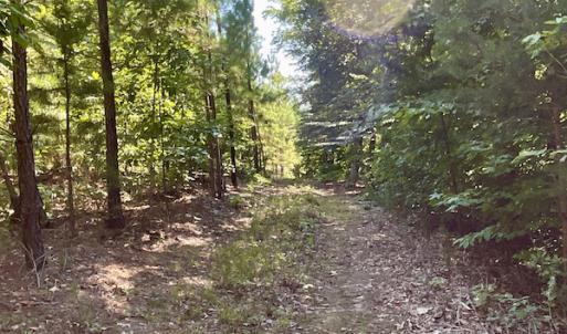 Photo #41 of SOLD property in 4118 Burkeville Road, Victoria, VA 227.8 acres