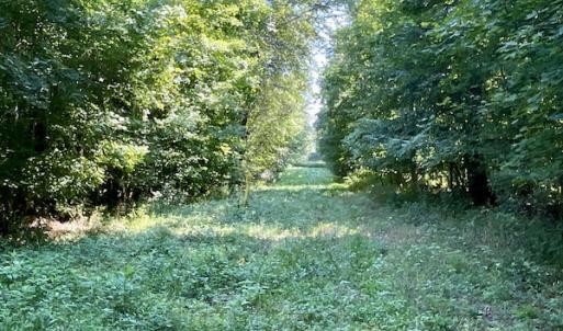 Photo #42 of SOLD property in 4118 Burkeville Road, Victoria, VA 227.8 acres