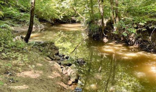 Photo #43 of SOLD property in 4118 Burkeville Road, Victoria, VA 227.8 acres