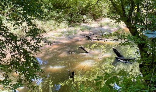 Photo #44 of SOLD property in 4118 Burkeville Road, Victoria, VA 227.8 acres